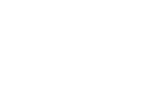 Punku Lab